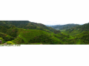 Rice Terraces, Banaue, Filipinler